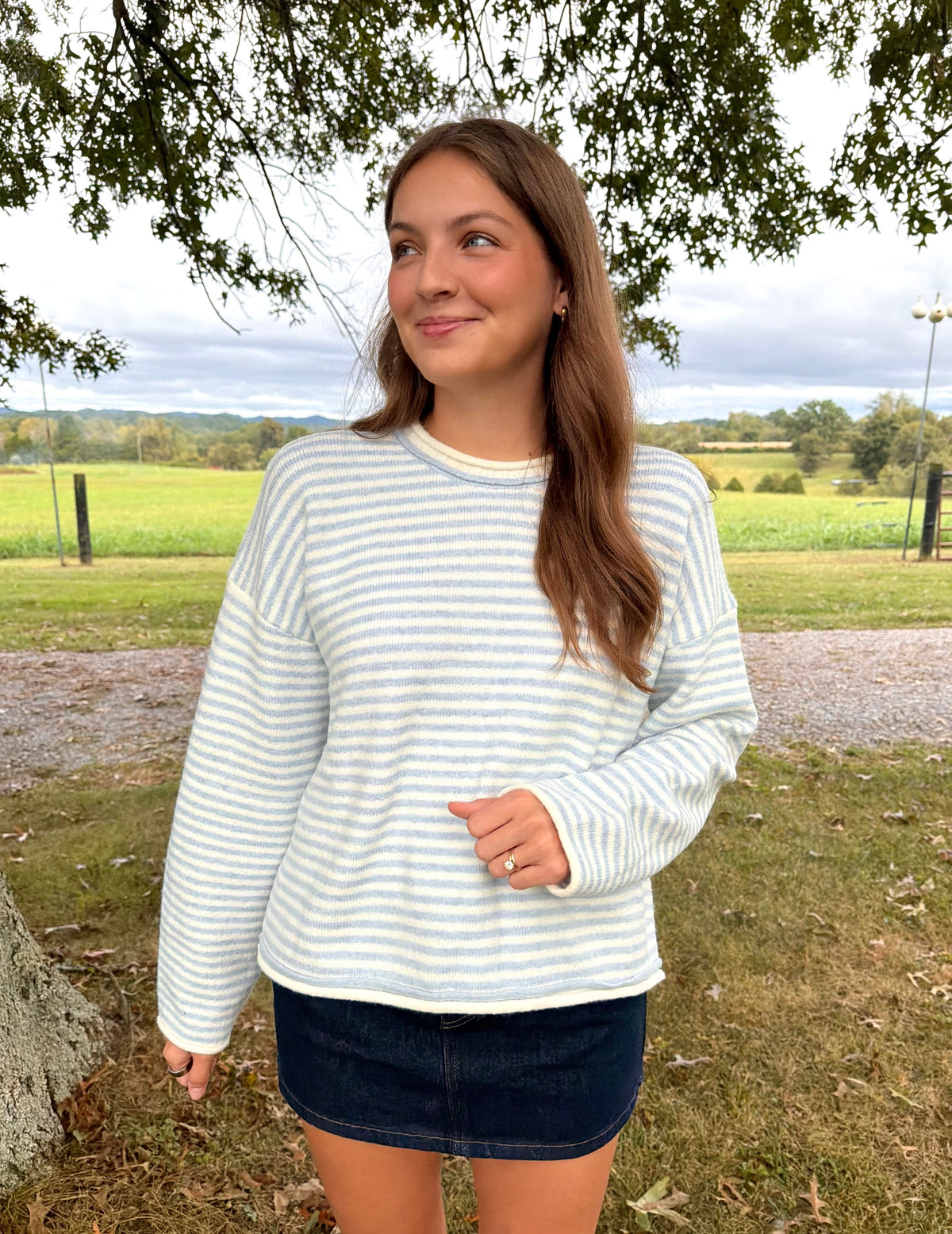 The Paige Striped Sweater - Light Blue