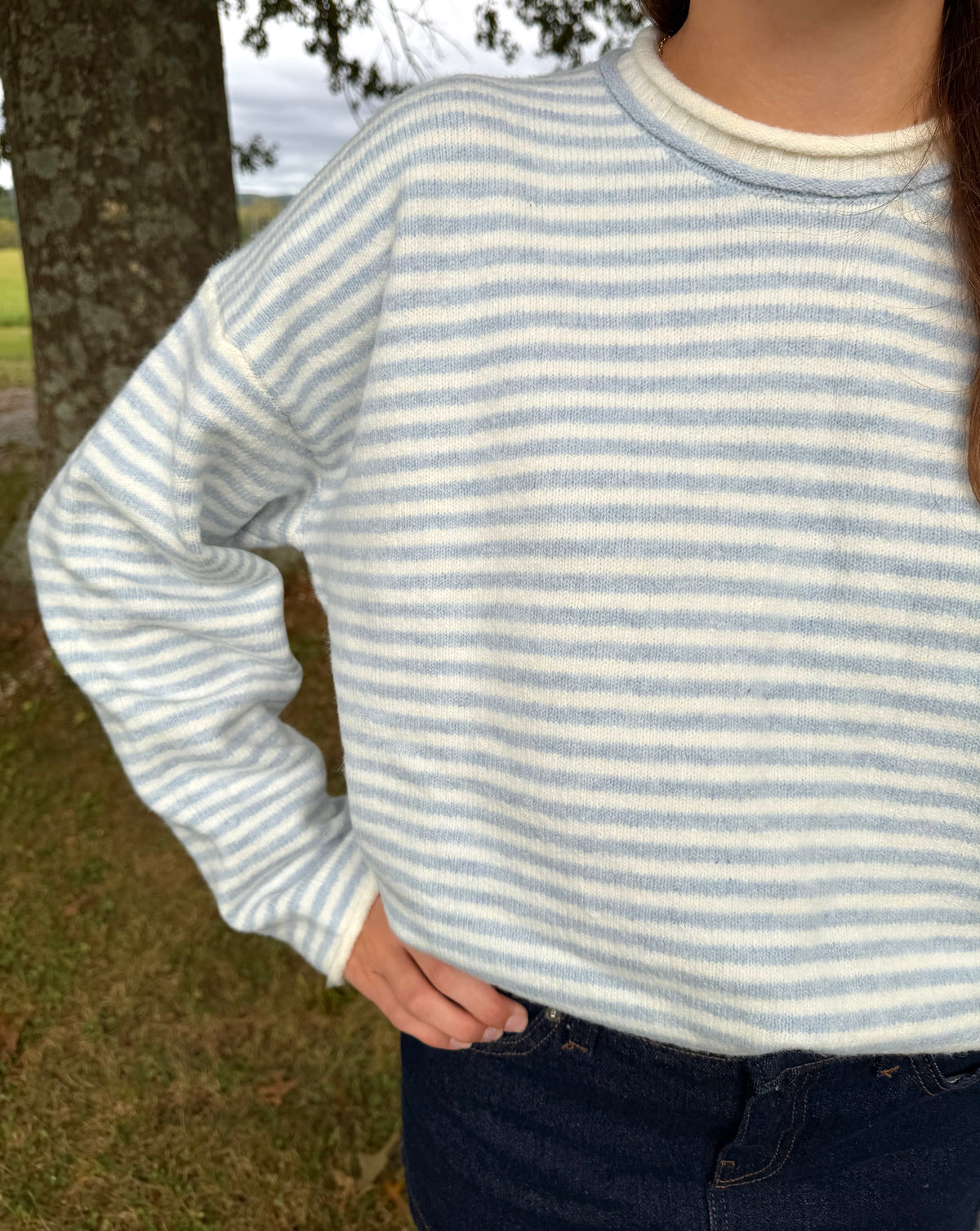 The Paige Striped Sweater - Light Blue