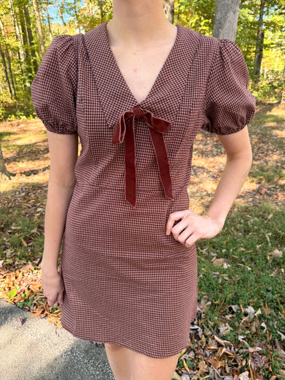The Darcy Rust Gingham Mini